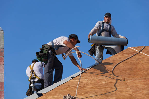 Best Roof Leak Repair  in Apalachin, NY