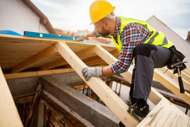 Best Roof Maintenance Services  in Apalachin, NY